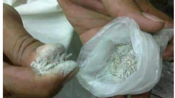 لمحة نيوز