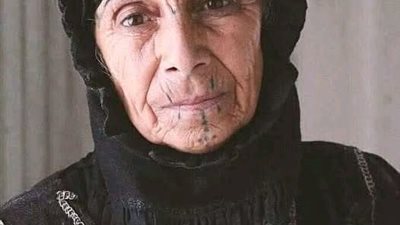 الدكتور محمود 