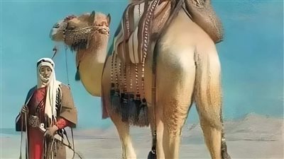 قصه وعبره 